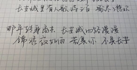 所想皆是太阳